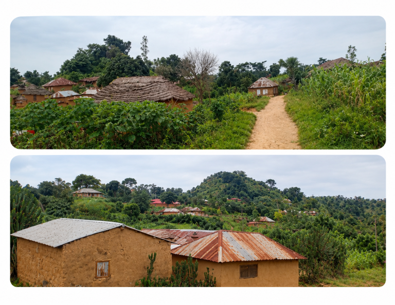 Bassa LGA Rapid Household Needs Assessment – Plateau State